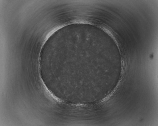 X0000115721141200912031545