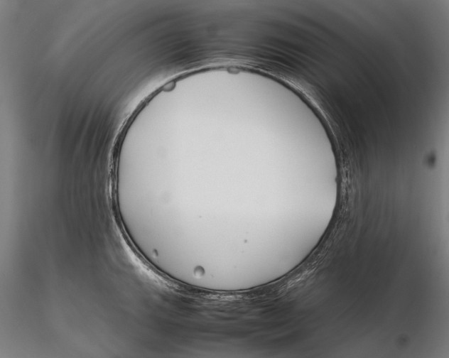 X0000115721143200912031545