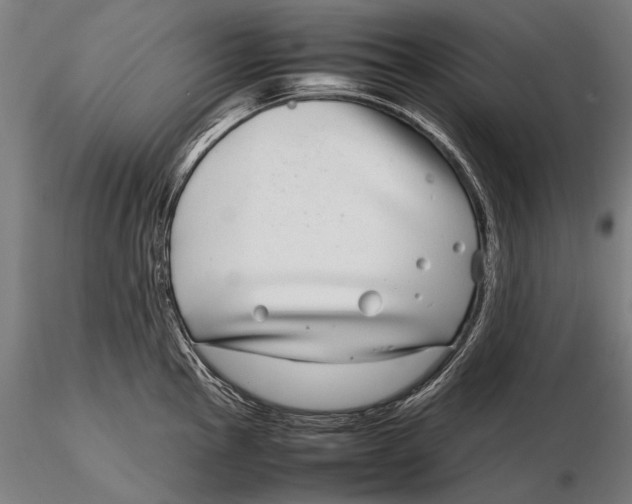 X0000115721145200912031545
