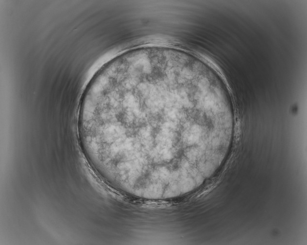 X0000115721146200912031545