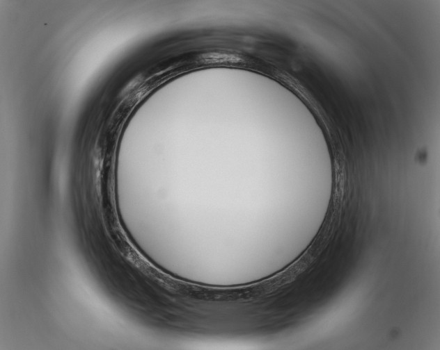 X0000115721151200912031545