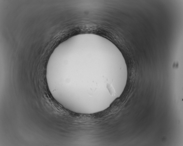X0000115721153200912031544