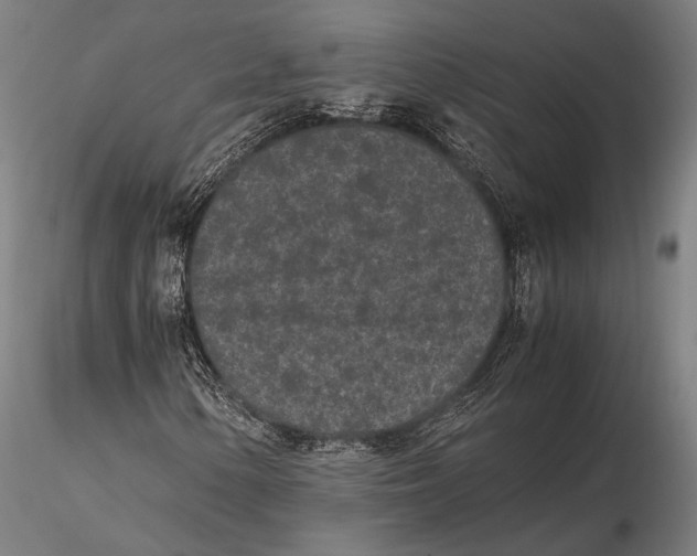 X0000115721154200912031544