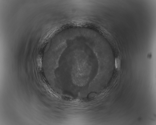 X0000115721155200912031544