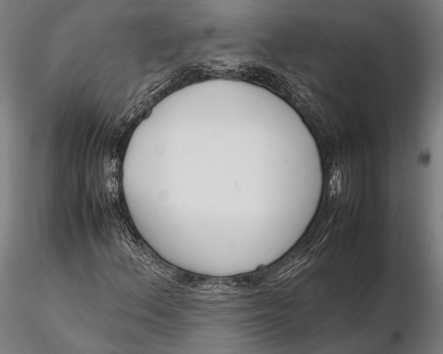 X0000115721156200912031544