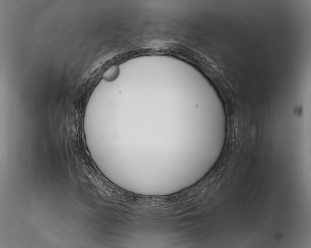 X0000115721158200912031544