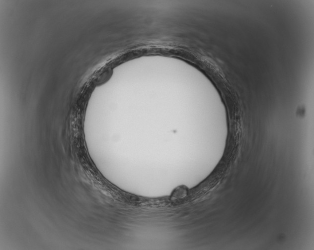 X0000115721159200912031544