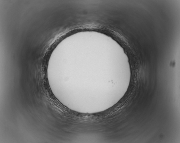 X0000115721160200912031544