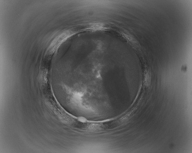 X0000115721161200912031544