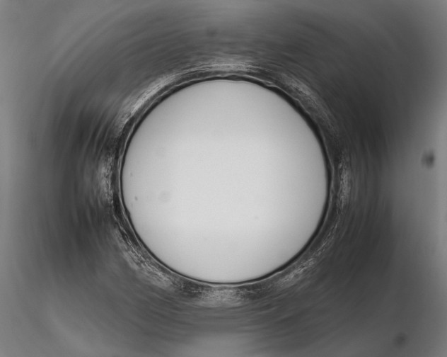 X0000115721162200912031544