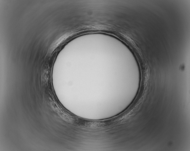 X0000115721163200912031544