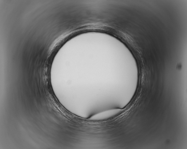 X0000115721164200912031544