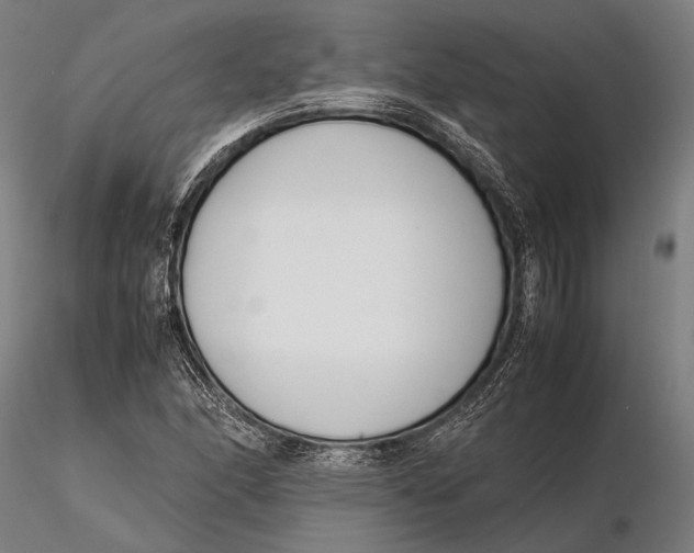 X0000115721166200912031544