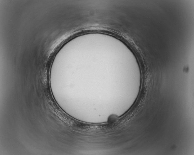 X0000115721167200912031544