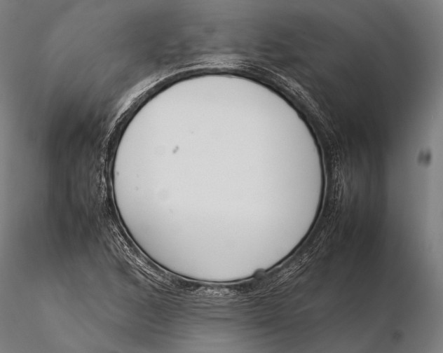 X0000115721168200912031544