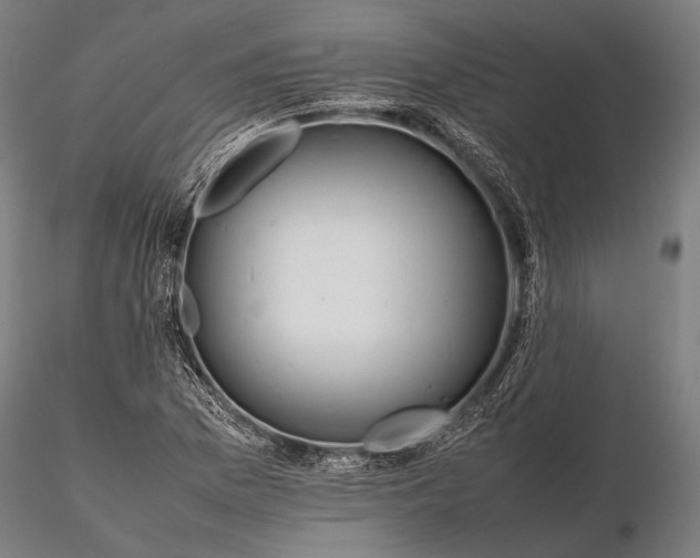 X0000115721169200912031544