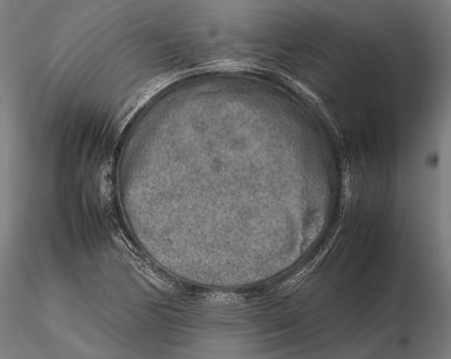 X0000115721170200912031544