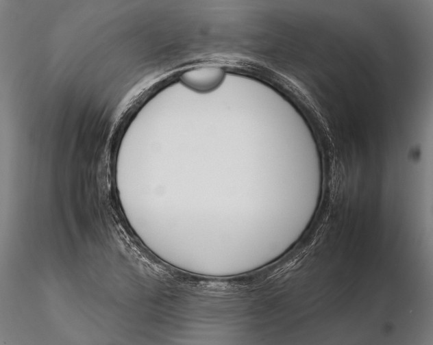 X0000115721172200912031544
