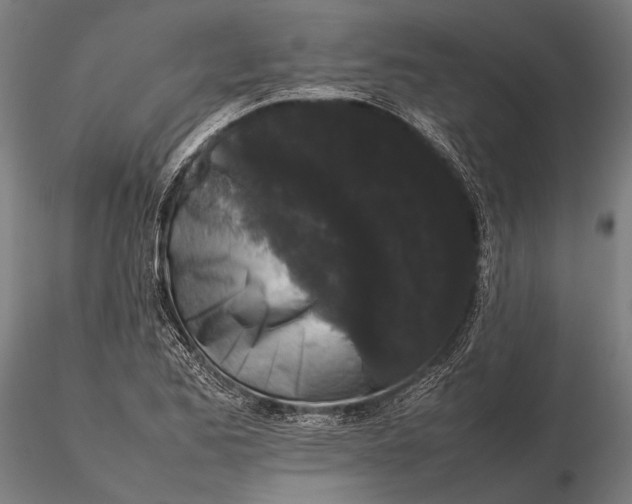 X0000115721173200912031544