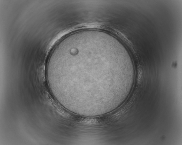 X0000115721174200912031544
