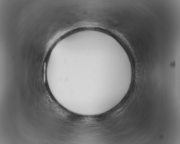 X0000115721175200912031544