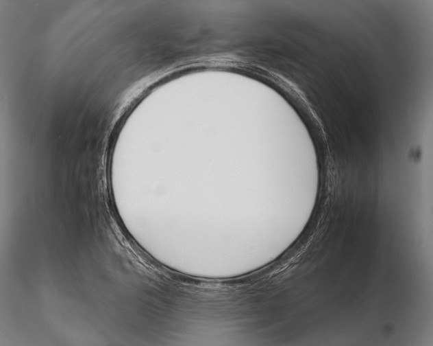 X0000115721176200912031544