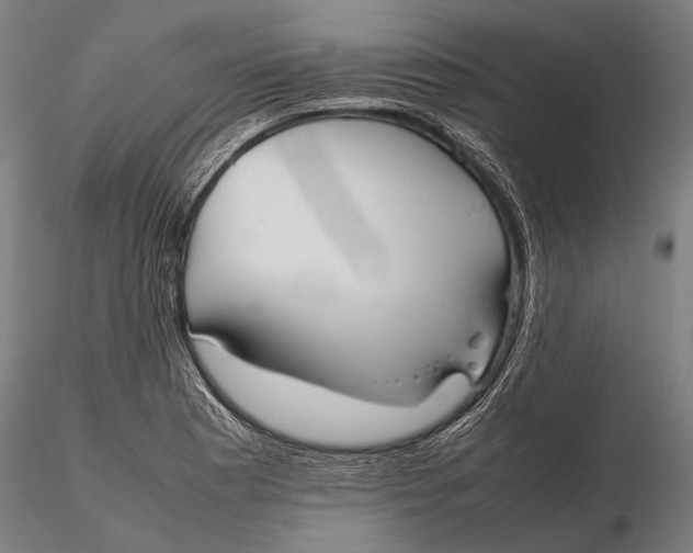 X0000115721177200912031544
