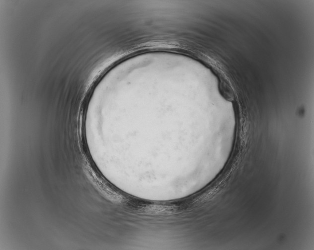 X0000115721179200912031544