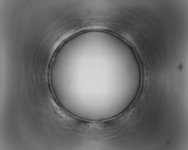 X0000115721181200912031543