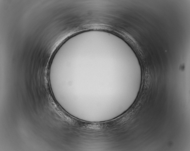 X0000115721182200912031543
