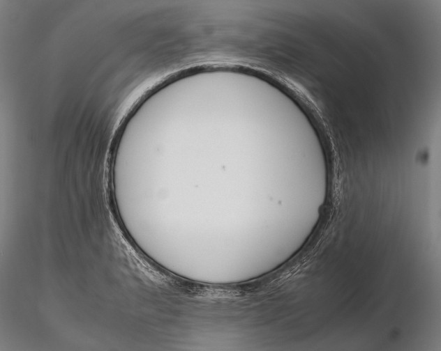 X0000115721183200912031543