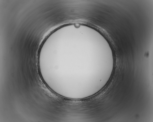 X0000115721184200912031543