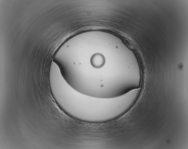 X0000115721185200912031543