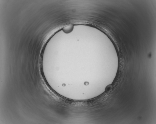 X0000115721187200912031543