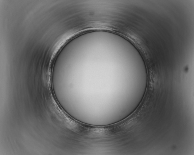X0000115721188200912031543