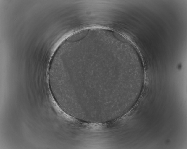 X0000115721189200912031543