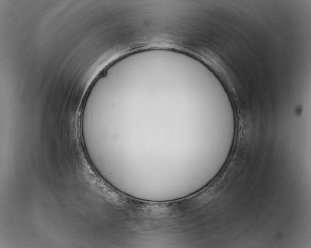 X0000115721190200912031543