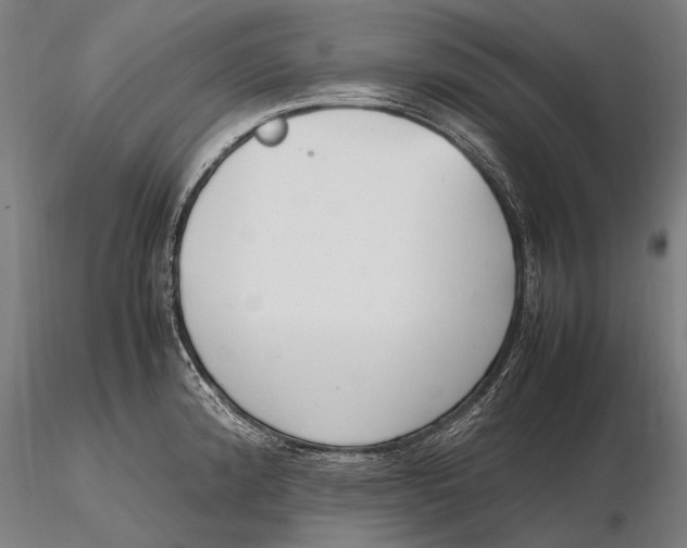X0000115721192200912031543