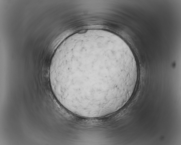 X0000115721193200912031543