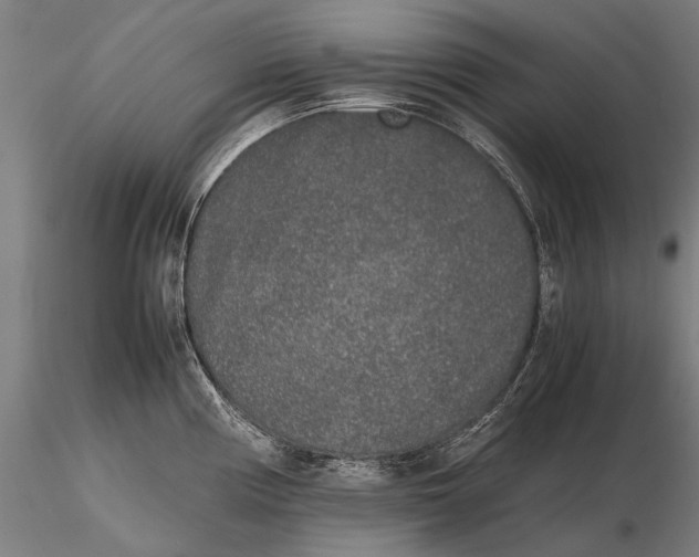 X0000115721194200912031543
