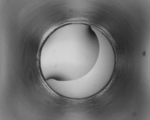 X0000115721196200912031543