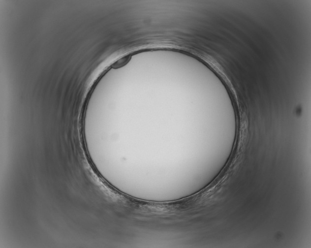 X0000115721197200912031543