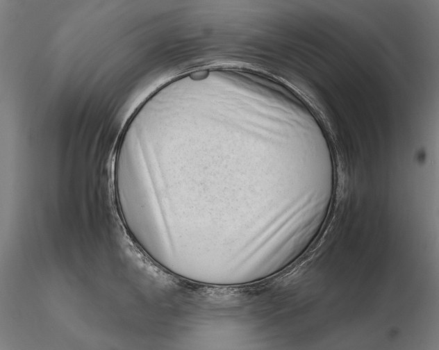 X0000115721198200912031543