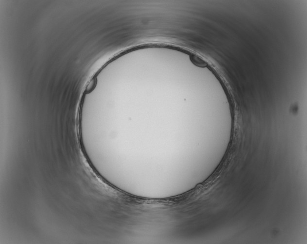 X0000115721199200912031543