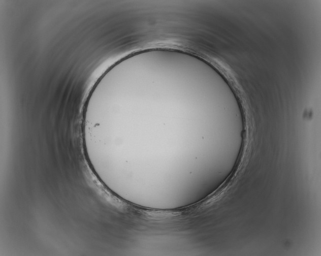 X0000115721200200912031543