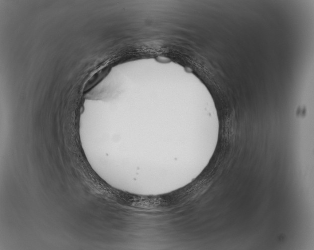 X0000115721201200912031543