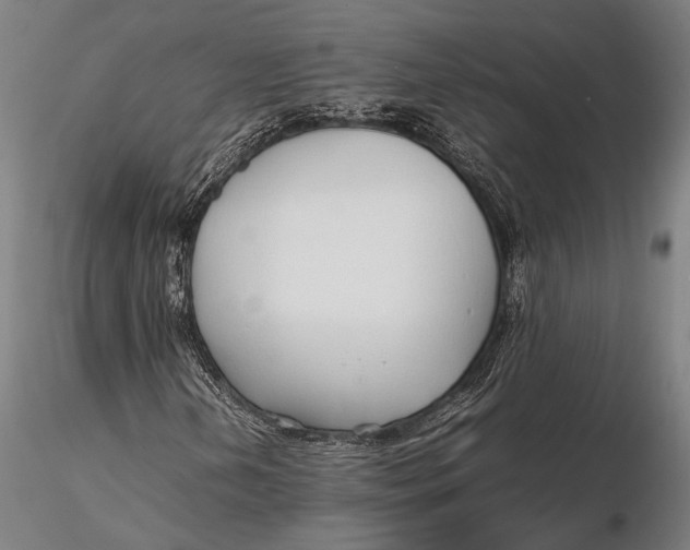 X0000115721202200912031543