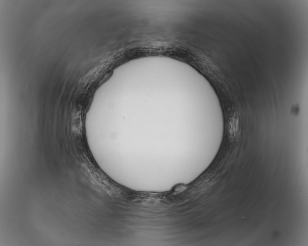 X0000115721204200912031543