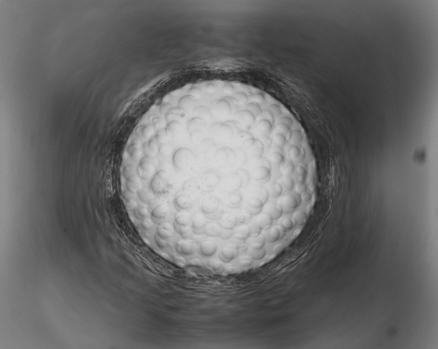 X0000115721205200912031543