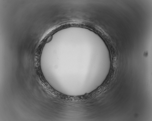 X0000115721208200912031543